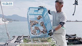 【漁港】福岡県 岐志漁港 牡蠣と漁師４