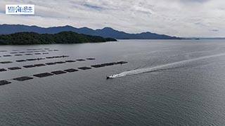 【漁港】福岡県 岐志漁港 牡蠣の養殖イカダ 空撮１