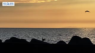 【その他】海 夕景 空撮１