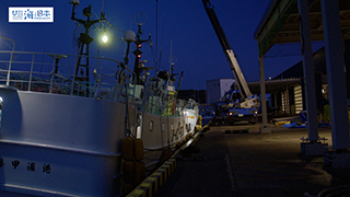 【漁港】千葉県 勝浦漁港 マグロ水揚げ２