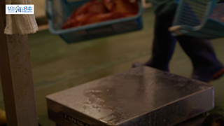 【漁港】千葉県 勝浦漁港 水揚げされたキンメダイ６