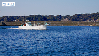 【漁港】千葉県 勝浦漁港 帰港する漁船２