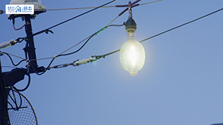 【漁港】ライト 実景