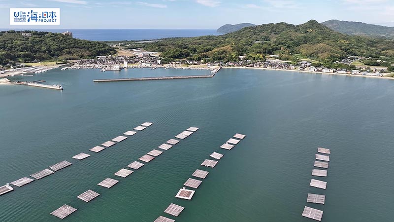 【漁港】福岡県 岐志漁港 牡蠣の養殖イカダ 空撮３