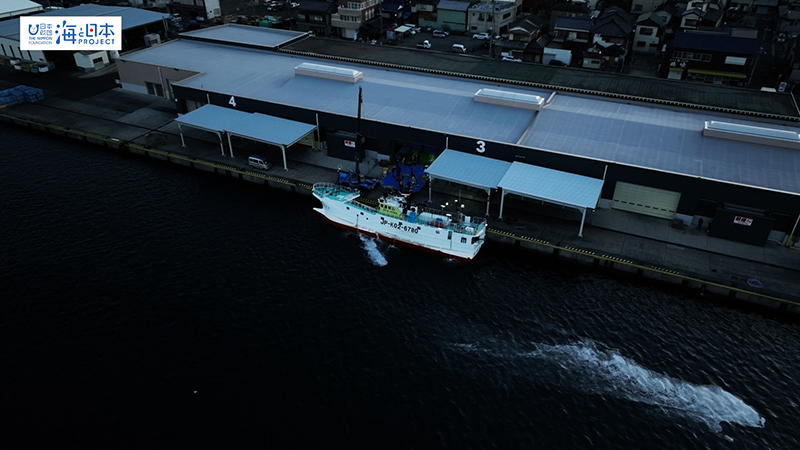 【漁港】千葉県 勝浦漁港 水揚げする漁船 空撮２