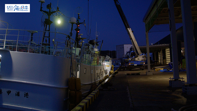 【漁港】千葉県 勝浦漁港 マグロ水揚げ２