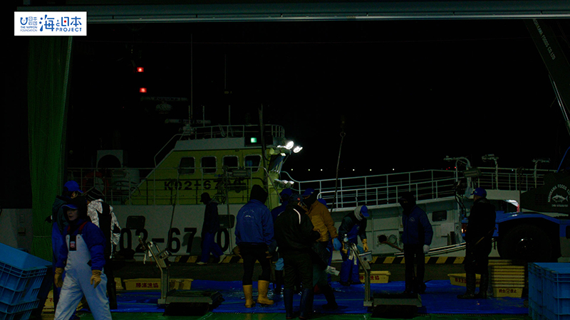 【漁港】千葉県 勝浦漁港 水揚げ１