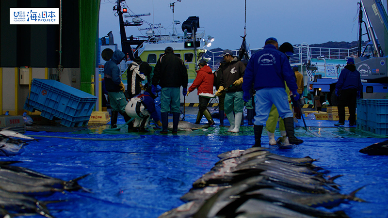 【漁港】千葉県 勝浦漁港 水揚げ４