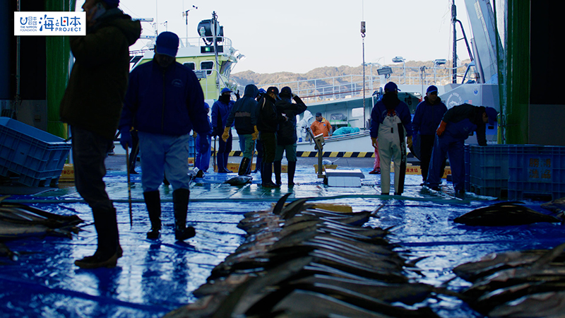 【漁港】千葉県 勝浦漁港 水揚げ５