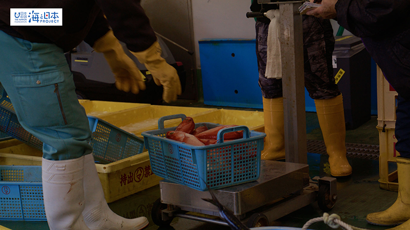 【漁港】千葉県 勝浦漁港 水揚げされたキンメダイ２
