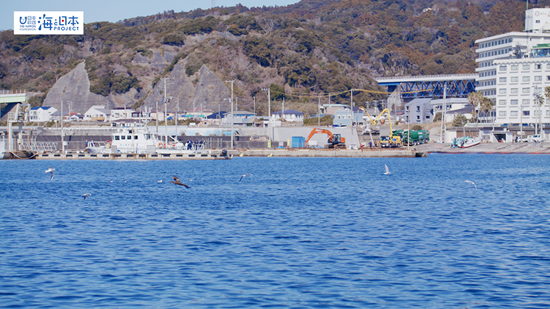 【漁港】千葉県 勝浦漁港 実景２