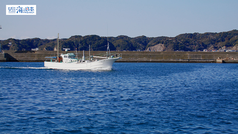 【漁港】千葉県 勝浦漁港 帰港する漁船２