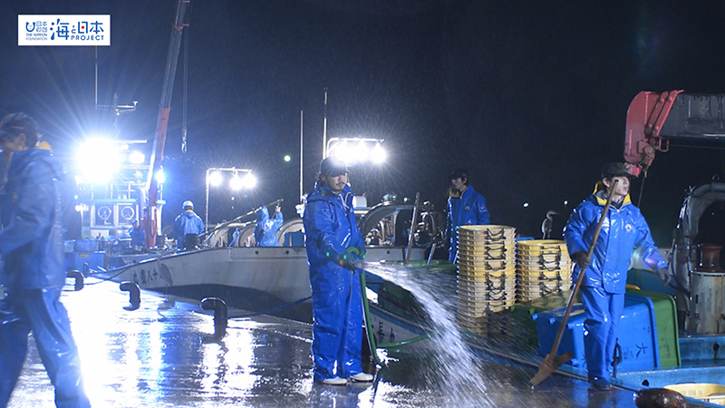 【漁港】富山県 四方漁港 漁師 水揚げ マダイ ハマチ