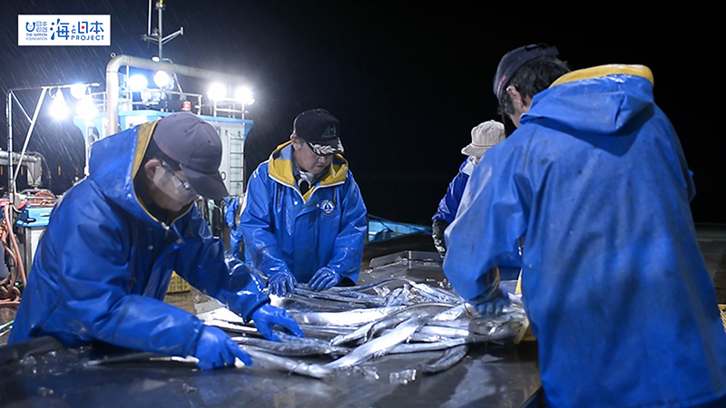 【漁港】富山県 四方漁港 水揚げ タチウオなど