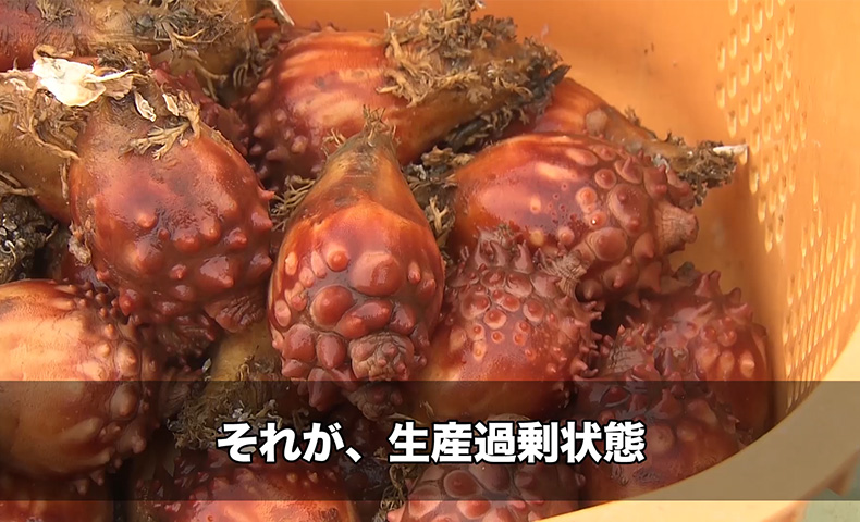 廃棄されるホヤを新グルメで救え ソーシャル イノベーション ニュース