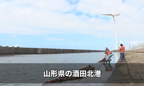 ソーシャル イノベーション ニュース ソーシャル イノベーション ニュース 日本のさまざまな社会課題に取り組む 社会課題解決型ニュースサイト ページ 21